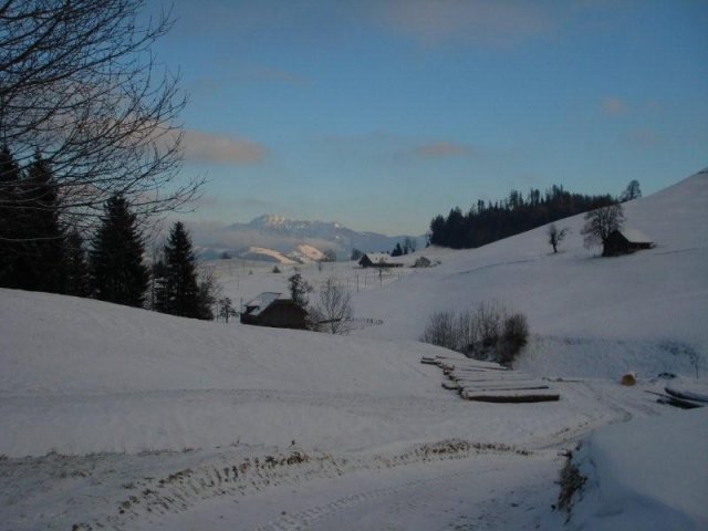 Bei der Jagdhütte Romoos Ost