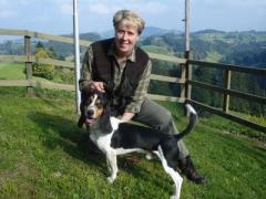 Bernerniederlaufhunde9
