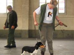 Bernerniederlaufhunde16